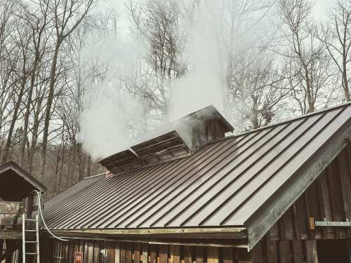 Smoke billows from a chimney on a metal-roofed building, surrounded by bare trees in a misty atmosphere.