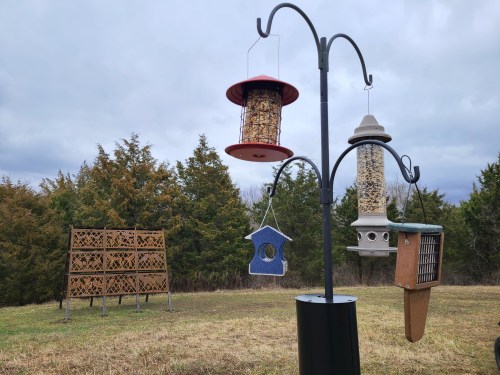 A bird feeder station with multiple feeders and a blue birdhouse, set in a grassy area with trees in the background.