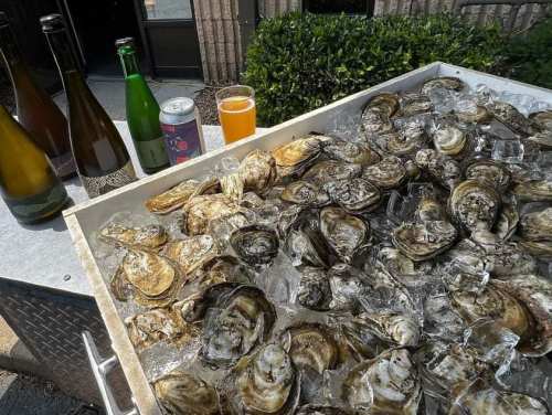 A tray of ice-filled oysters with various drinks, including bottles and a can, in a sunny outdoor setting.