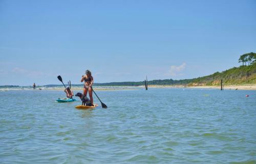 Two people paddleboarding in calm water with a sandy beach and trees in the background under a clear blue sky.