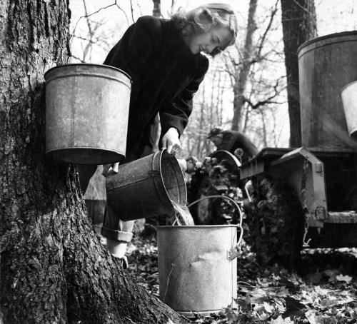 A girl pours liquid from one metal bucket to another near a tree in a wooded area, with a tractor in the background.