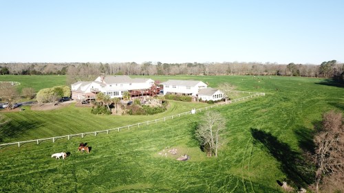 Aerial view of a large farmhouse surrounded by green fields and horses grazing nearby. Clear blue sky above.