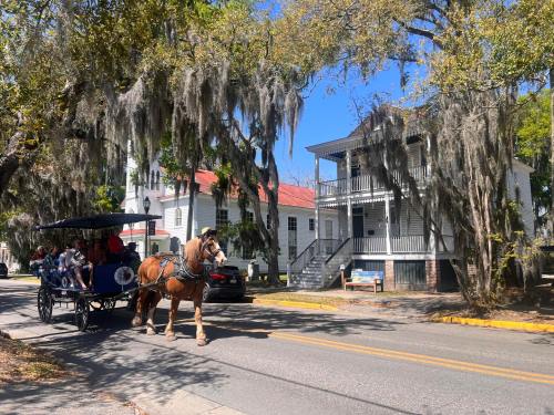A horse-drawn carriage passes by historic homes draped in Spanish moss on a sunny day.