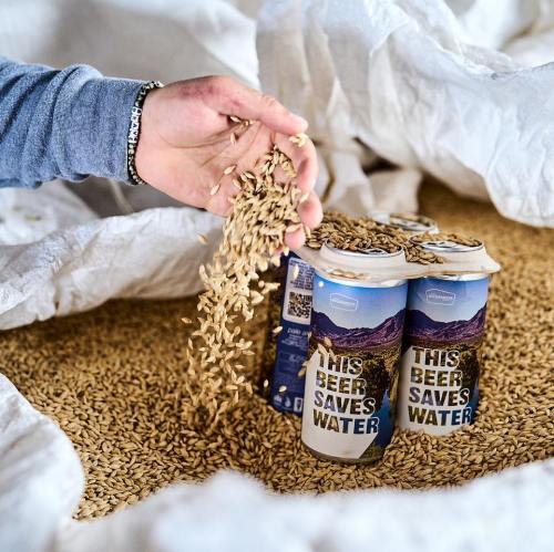 A hand pours grains over cans labeled "This Beer Saves Water," surrounded by a pile of grains on a white surface.