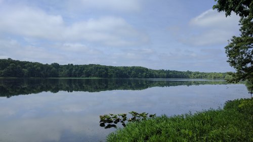 A serene lake surrounded by lush greenery, reflecting the sky and trees on a calm day.