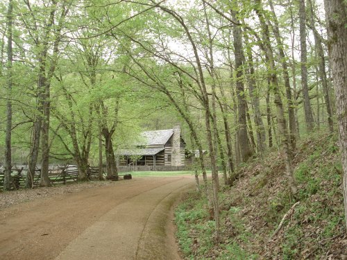 A dirt path winds through lush green trees, leading to a rustic log cabin in a serene forest setting.