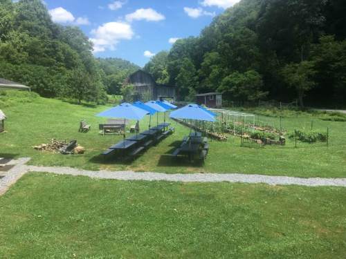 A scenic outdoor area with picnic tables under blue umbrellas, surrounded by gardens and lush greenery.
