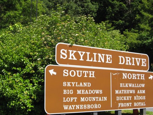 Brown directional sign for Skyline Drive, indicating South to Skyland and North to Elkwallow, with nearby greenery.