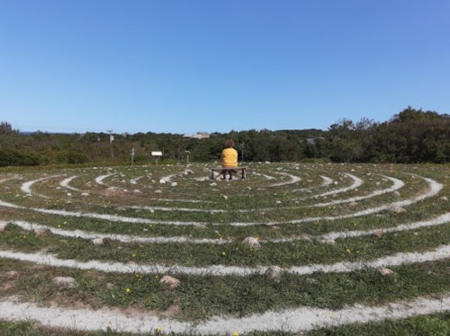 A person sits on a bench in the center of a grassy labyrinth under a clear blue sky.