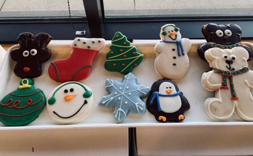 A tray of decorated holiday cookies, including reindeer, stockings, a tree, snowman, penguin, and snowflake designs.