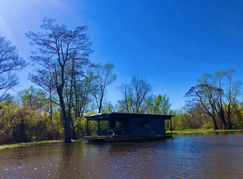 A houseboat on calm water surrounded by trees under a clear blue sky.