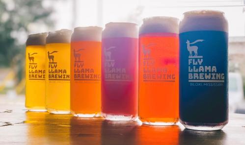 A row of colorful beer cans from Fly Llama Brewing, showcasing various vibrant brews against a bright background.