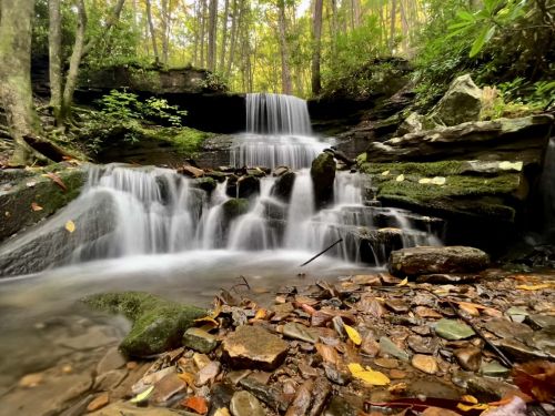 A serene waterfall cascades over rocks, surrounded by lush greenery and autumn leaves in a tranquil forest setting.