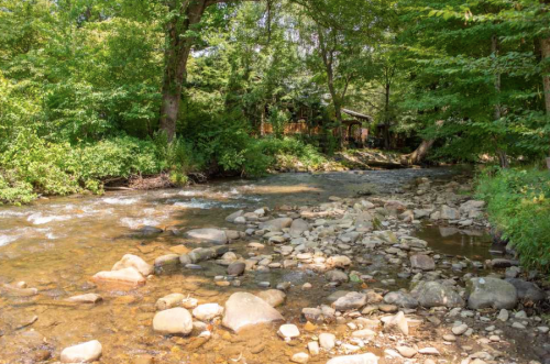 A serene creek flows through a rocky bed, surrounded by lush green trees and a glimpse of a cabin in the background.