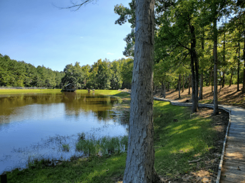 A serene lake surrounded by trees, with a wooden path leading along the water's edge under a clear blue sky.