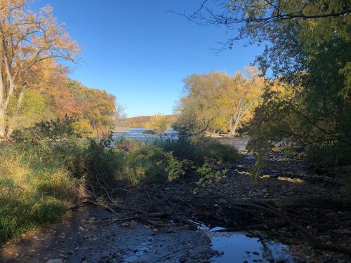 A serene river scene surrounded by trees with autumn foliage under a clear blue sky.