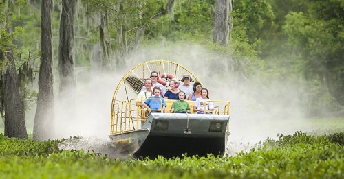 A group of people enjoying an airboat ride through a lush, green swamp with trees in the background.
