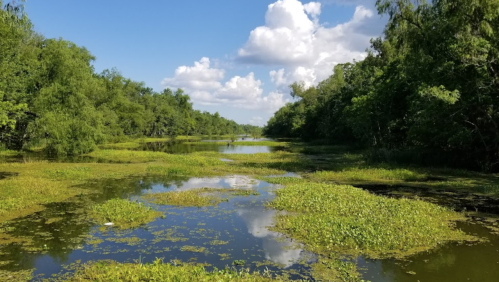 Lush green landscape with a calm waterway, reflecting clouds and trees under a bright blue sky.
