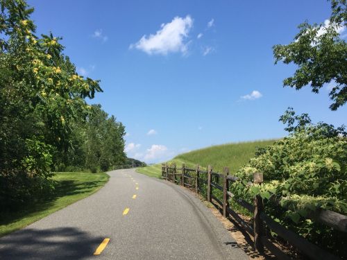 A winding road lined with trees and a wooden fence under a clear blue sky.