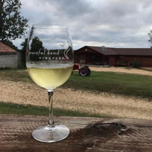 A glass of white wine sits on a table, with a vineyard and cloudy sky in the background.