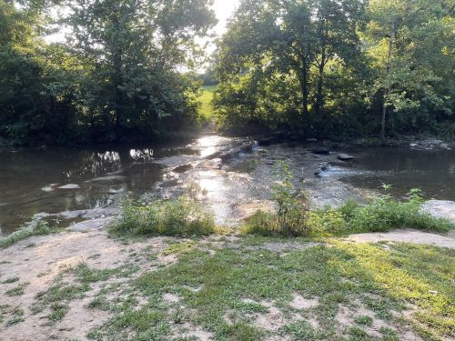 A serene river scene with sunlight reflecting on the water, surrounded by lush greenery and rocky banks.