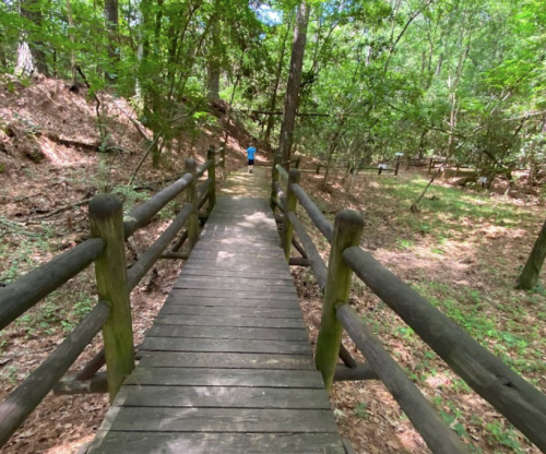 A wooden bridge leads through a lush, green forest with a person walking in the distance.