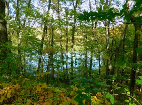 A serene view of a lake surrounded by trees with autumn foliage, reflecting the vibrant colors of the season.
