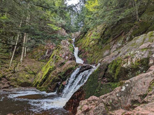 A serene waterfall cascading down moss-covered rocks, surrounded by lush green trees in a tranquil forest setting.