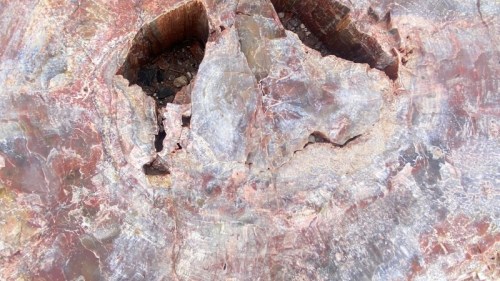 Close-up of a colorful, polished stone with natural patterns and a hollowed section in the center.