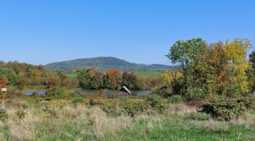 A serene landscape featuring a pond, a small cabin, and colorful autumn trees under a clear blue sky.
