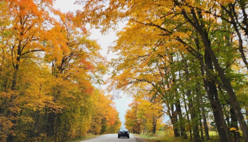 A car drives down a tree-lined road with vibrant autumn foliage in shades of orange and yellow.