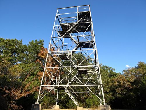 A tall metal observation tower with a staircase, surrounded by trees and a clear blue sky.