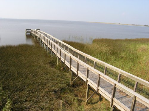 A wooden boardwalk extends over calm water, surrounded by tall grasses and a clear blue sky.