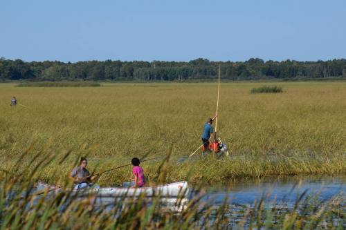 Two people in a canoe and one standing in a marsh, surrounded by tall grass and a clear blue sky.