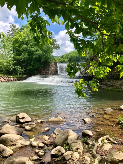 A serene waterfall cascades into a calm pool, surrounded by lush greenery and rocky shoreline under a blue sky.