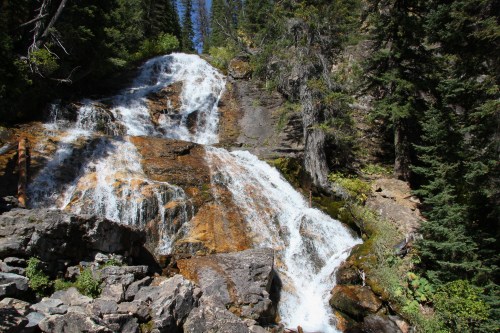 A cascading waterfall flows over rocky terrain, surrounded by lush green trees and a clear blue sky.
