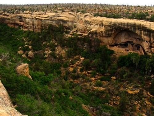 A rocky canyon landscape with green vegetation and a distant view of a barren, treeless area.