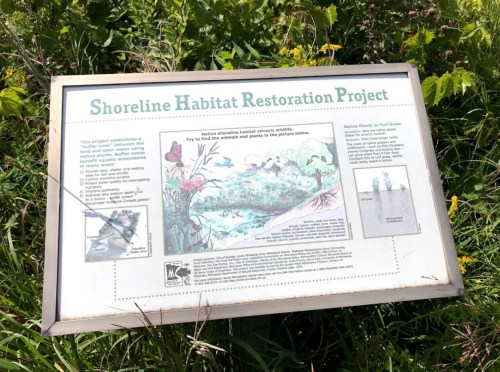 Sign for the Shoreline Habitat Restoration Project, detailing native plants and wildlife attraction.
