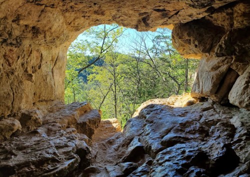 View from inside a rocky cave, looking out at lush green trees and a bright blue sky.