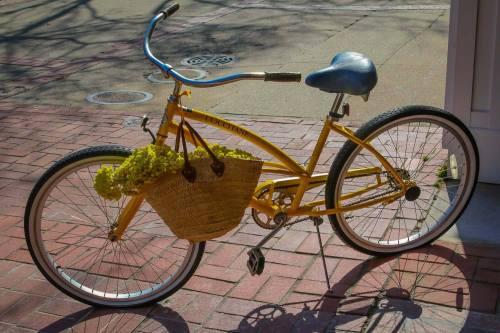 A yellow bicycle with a woven basket filled with green plants, parked on a brick sidewalk.