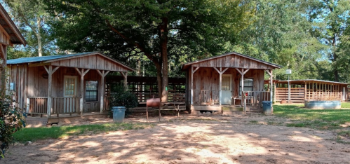 Two rustic wooden cabins under a large tree, surrounded by a sandy area and additional structures in the background.
