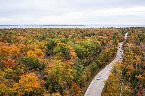 Aerial view of a winding road through vibrant autumn foliage, with a lake visible in the background.