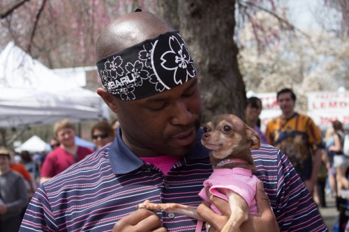 A man in a bandana holds a small dog in a pink outfit, smiling at each other at an outdoor event.