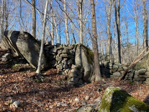A rocky outcrop and stone wall amidst a forest of bare trees and fallen leaves under a clear blue sky.
