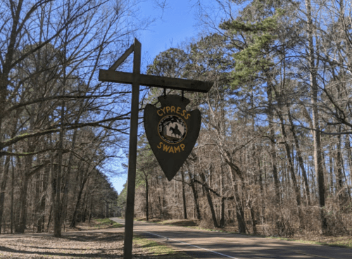 Sign for Cypress Swamp hanging from a wooden post, surrounded by tall trees and a clear blue sky.