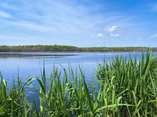 A serene lake surrounded by lush green grass under a clear blue sky with scattered clouds.