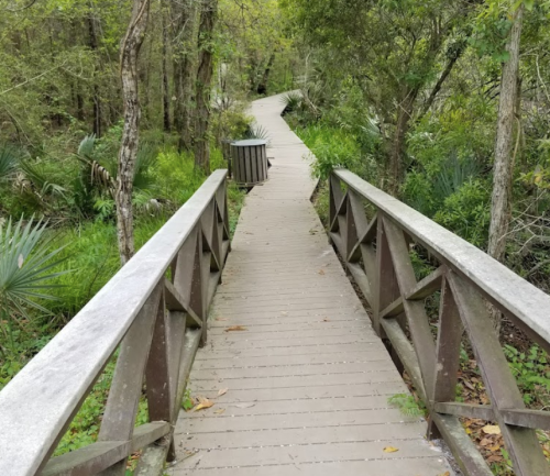 A wooden bridge leads through a lush, green forest with a winding path and a trash bin nearby.