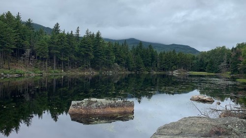 A serene lake surrounded by trees and mountains, with a cloudy sky reflecting on the water's surface.