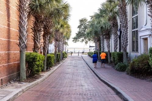 A brick pathway lined with palm trees leads to a waterfront, with two people walking in the distance.