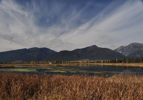A serene landscape featuring a calm lake surrounded by mountains and golden grasses under a cloudy sky.
